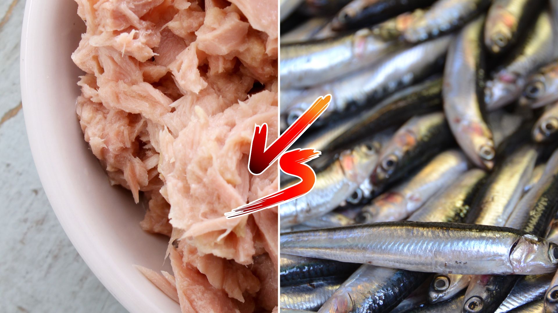 Canned Tuna Vs Sardines At Ernesto Kirsch Blog