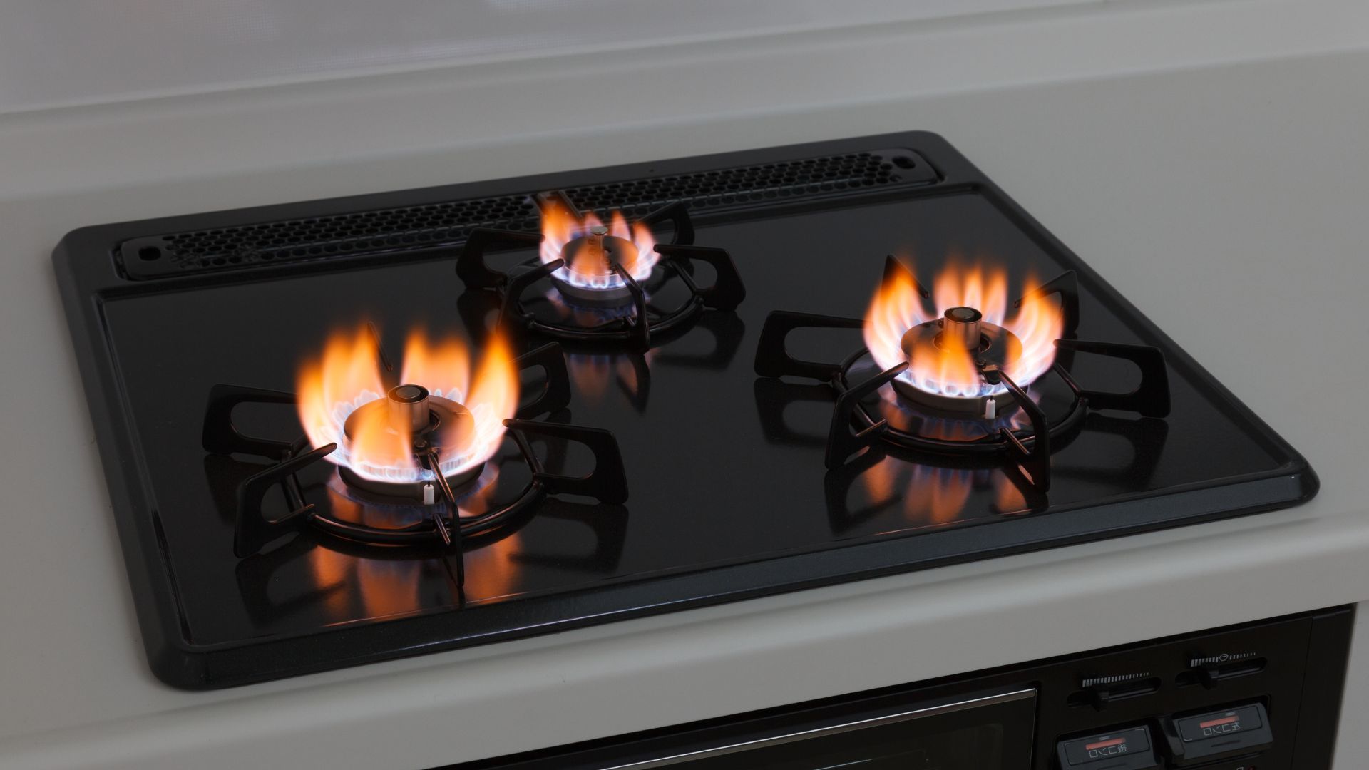 Induction Or Gas Stove Which Is More Efficient? Are You Hungry?